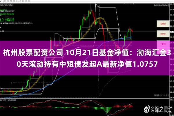 杭州股票配资公司 10月21日基金净值：渤海汇金30天滚动持