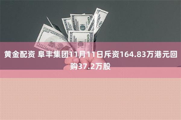 黄金配资 阜丰集团11月11日斥资164.83万港元回购37