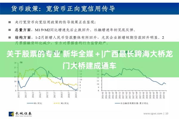 关于股票的专业 新华全媒＋|广西最长跨海大桥龙门大桥建成通车