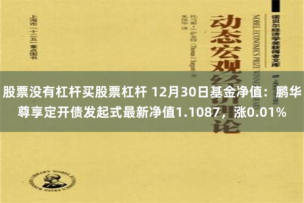 股票没有杠杆买股票杠杆 12月30日基金净值：鹏华尊享定开债